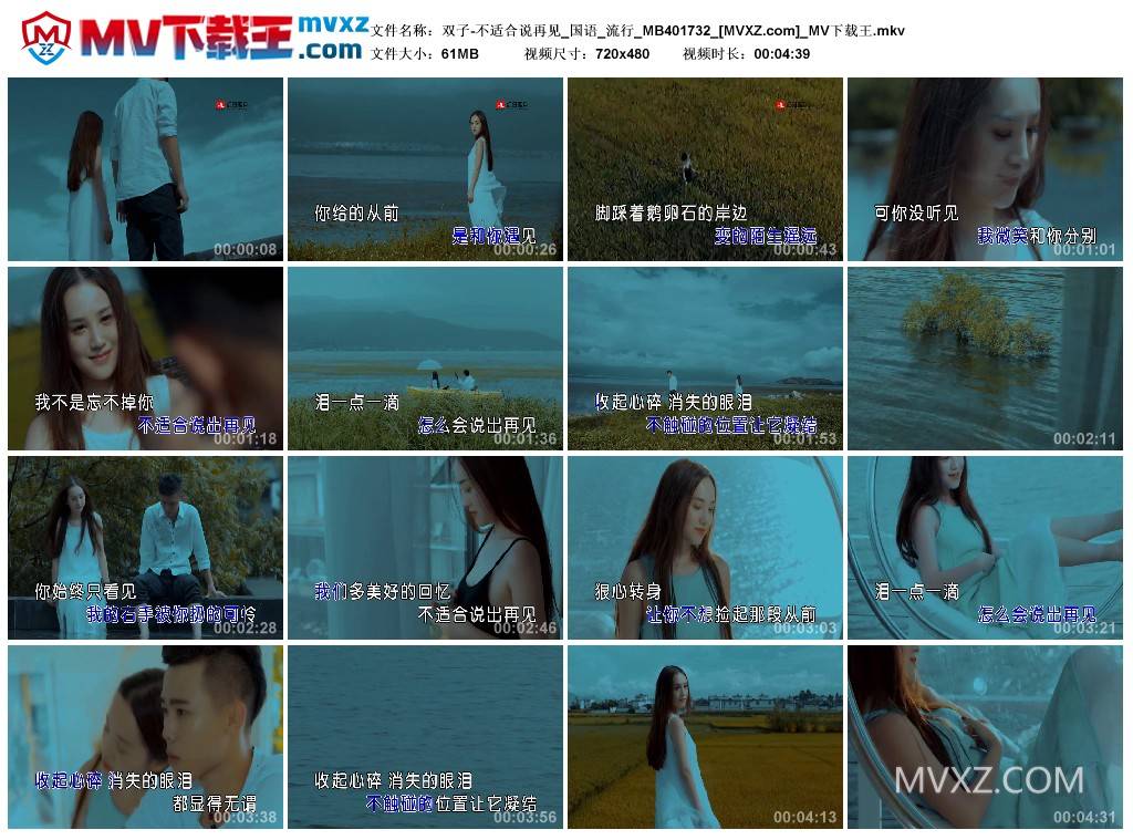 双子-不适合说再见_国语_流行_MB401732